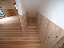 s0078.jpg