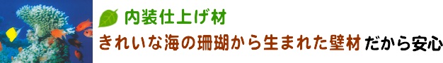 サンゴの壁だから安心