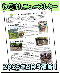ニュースレターわだけん通信