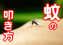 蚊の叩き方のコツ