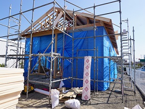 wadasekou20190325zakka03a.jpg