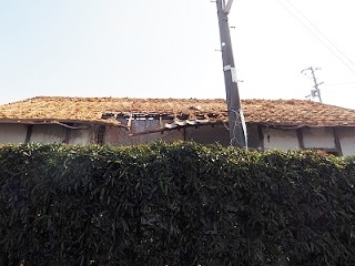 wadasekou20210212oo2a.jpg